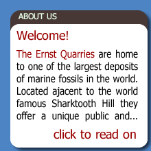 About The Ernst Quarries