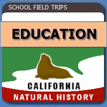 Educational Field Trips