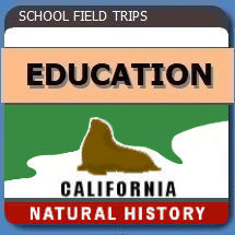 Educational Field Trips