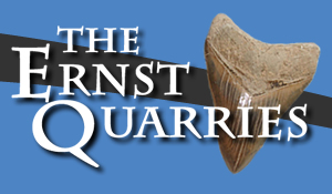 The Ernst Quarries